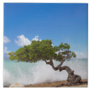 Suche nach beach fliesen Stadt