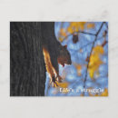 Suche nach niedlich tier fotos postkarten Baum