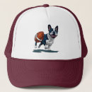 Recherche de chien de taureau casquettes Chiot