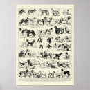 Recherche de vintage dog art posters Canines
