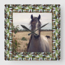 Recherche de cheval arabe horloges Chevaux