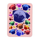 Recherche de chiot vintage magnets Amour