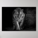 Suche nach wildlife kunst Dschungel