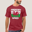 Recherche de anglesey Le pays de galles