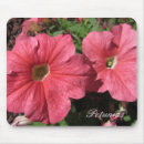 Suche nach petunie mousepads Blumen