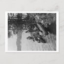 Recherche de canot photographie Canoë