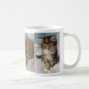 Recherche de pelucheux mugs bouteilles Chat