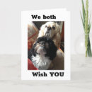 Suche nach von beiden von uns karten Hund