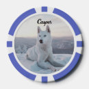 Suche nach hund poker chips Haustier