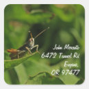 Suche nach lustiger grill aufkleber Grille