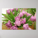 Recherche de tulipe rose posters Fleurs