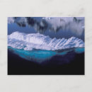 Recherche de steins posters Gelée