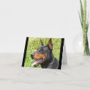 Suche nach doberman karten Liebe