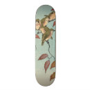 Recherche de arbre skateboards Oiseaux