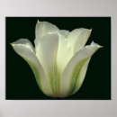 Recherche de rayure florale posters Pour elle