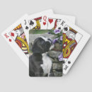 Recherche de boxer jeux de cartes Dog