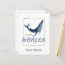 Recherche de cétacé cartes postales Océan