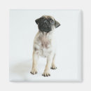 Recherche de adolescents magnets Humour