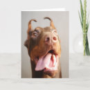 Recherche de dobermann vœux cartes Animal de compagnie