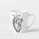 Recherche de anatomie tasses Humain