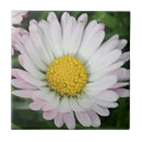 Suche nach kneipen fliesen Blume
