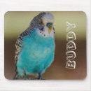 Recherche de perruches tapis souris Animal