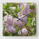 Recherche de fleurs lilas horloges Printemps