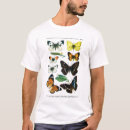 Recherche de butterflies tshirts Vintage