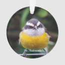 Suche nach kleine vögel ornamente Kleiner vogel