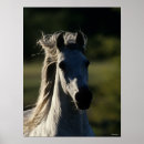 Suche nach backlit poster Tier