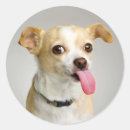 Suche nach entzückend aufkleber Tier