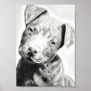 Suche nach pitbull poster Liebe