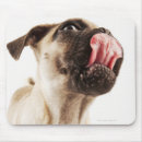 Suche nach zucht mousepads Tier