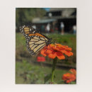 Recherche de migration de papillon Nature