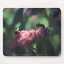 Suche nach käfer mousepads Sommer