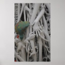 Suche nach rex poster Eidechsen