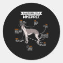 Recherche de whippet autocollants Greyhound