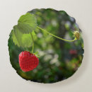 Suche nach lecker kissen Essen