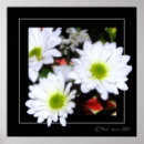 Recherche de flower power posters Fleur
