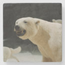 Suche nach eisbär untersetzer Tragen