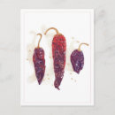 Recherche de piments cartes postales Épicé
