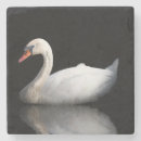 Suche nach schwan untersetzer Wasser