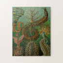 Recherche de der cartoon Ernst haeckel