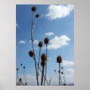 Suche nach dorf poster Himmel