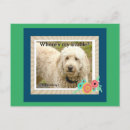 Recherche de bavard cartes postales Dog