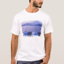 Recherche de mont fuji tshirts Bateau