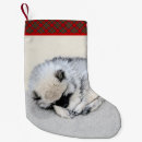 Recherche de puppys chaussette de noël Chiot