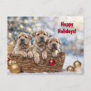 Suche nach shar pei postkarten Niedlich