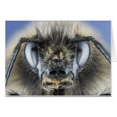 Suche nach wirbellos postkarten Antenne