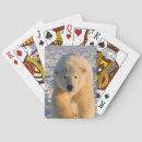 Suche nach eisbär spielkarten Fauna